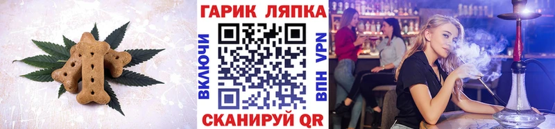 МЕГА ONION  купить наркоту  Павловский Посад  Canna-Cookies марихуана 