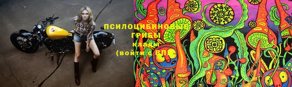 гидра Нея