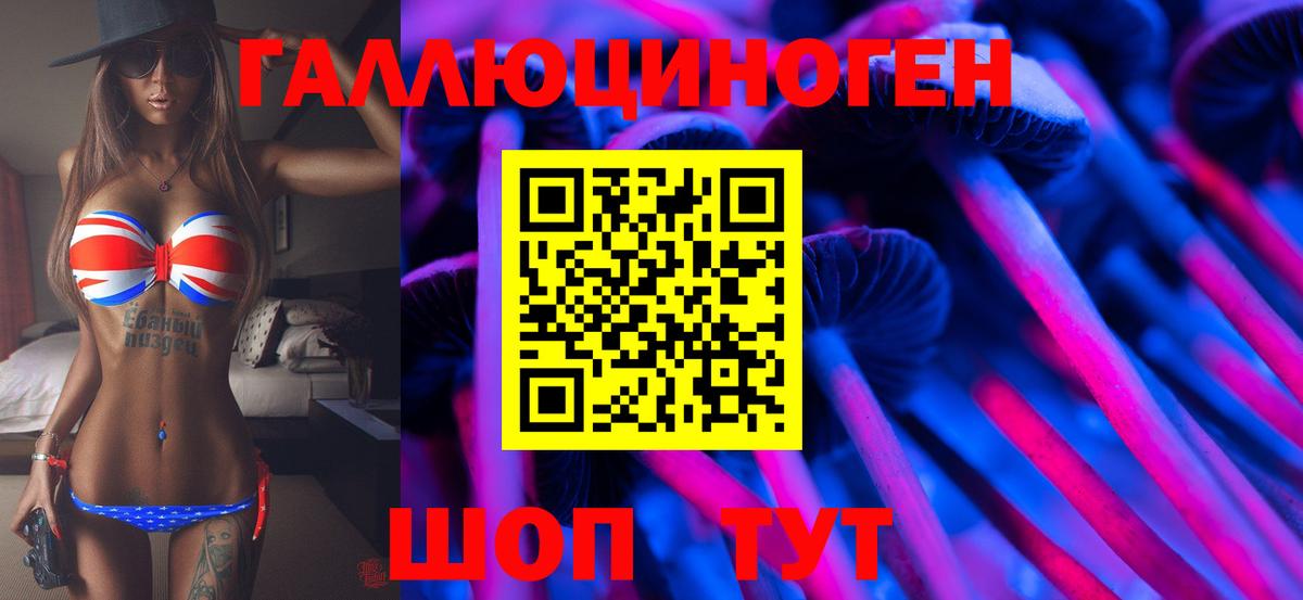 Павловский Посад  Галлюциногенные грибы ЛСД  Вход с VPN 